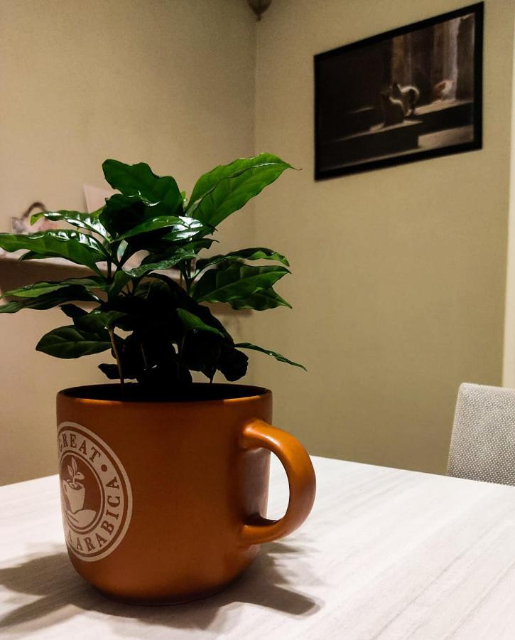Ament'S B&B Syracuse Luaran gambar